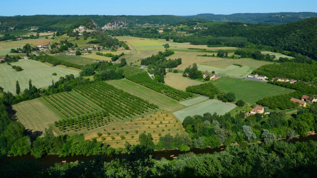 A stunning aerial view of lush countryside fields and farms under a bright summer sky.